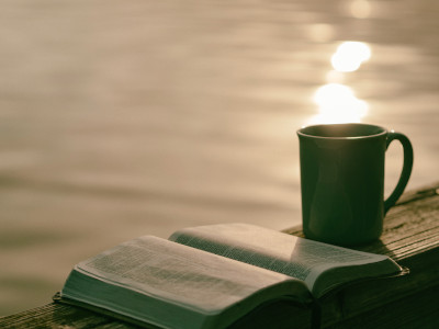 夕暮れの水辺に本とマグカップが写っている写真です