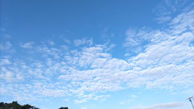 青空の写真です。真っ青で、鱗雲がきれいに出ています。