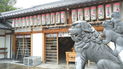 住吉大社（大阪市）の末社、種貸社の写真です。拝殿の斜め右側から撮影。手前に狛犬の親子が写っています。